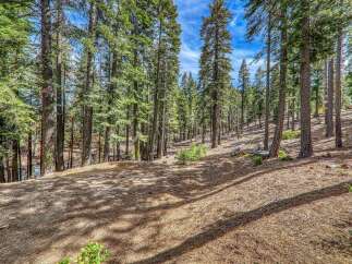 Discover the tranquility of this stunning forest property, perfect for nature enthusiasts and those seeking a peaceful retreat.
