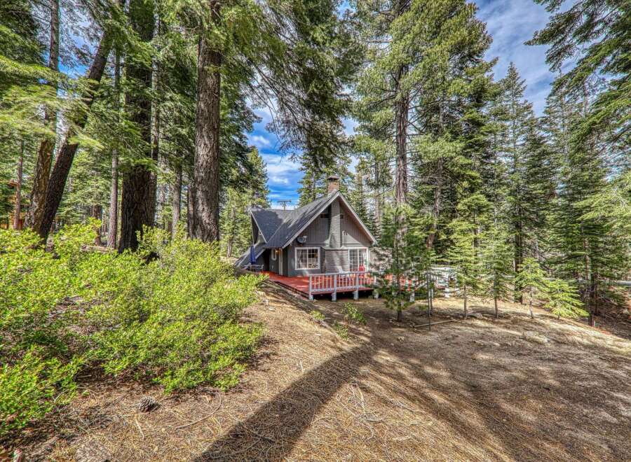 Nestled amidst towering trees, this charming cabin offers a serene escape.