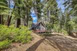 Nestled amidst towering trees, this charming cabin offers a serene escape.