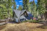 Nestled amidst towering trees, this charming cabin offers a serene escape.