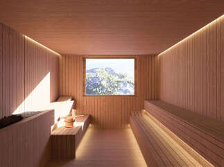 Experience ultimate relaxation in this luxurious sauna, featuring natural wood paneling and ambient lighting.