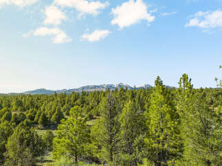 Discover the tranquility of this stunning property, nestled amidst a lush forest with breathtaking mountain views.