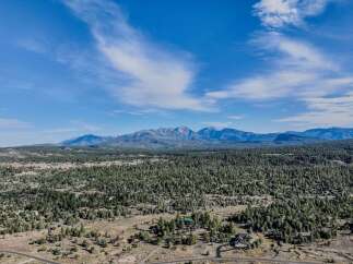 Discover your dream home nestled amidst a sprawling forest with breathtaking mountain views.