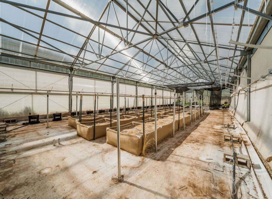 Explore this expansive greenhouse, perfect for cultivating a variety of plants.