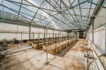 Explore this expansive greenhouse, perfect for cultivating a variety of plants.