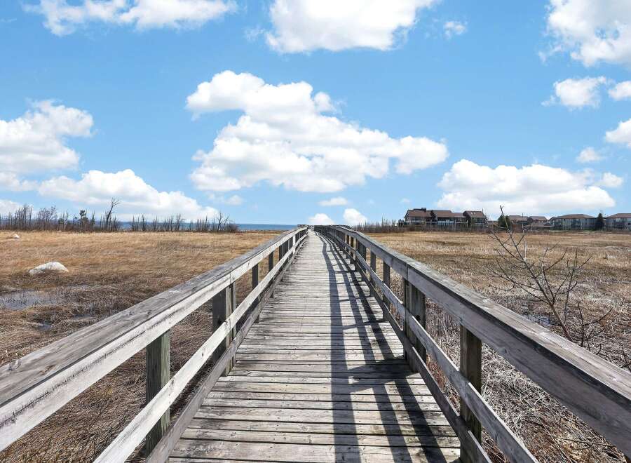 Discover the tranquility of this stunning property, featuring a picturesque wooden boardwalk that leads you through a serene natural landscape.
