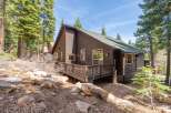 Nestled amidst towering trees, this charming cabin offers a serene escape.
