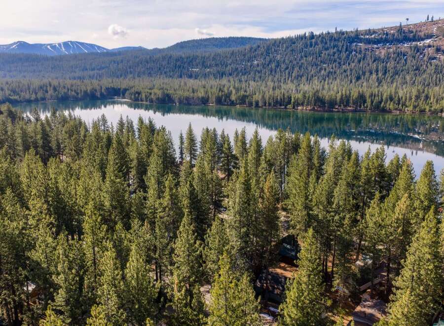 Nestled amidst a lush forest, this property offers unparalleled tranquility and natural beauty.