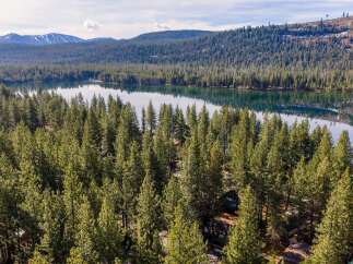 Nestled amidst a lush forest, this property offers unparalleled tranquility and natural beauty.