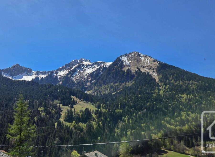 Discover breathtaking mountain views from this stunning property.
