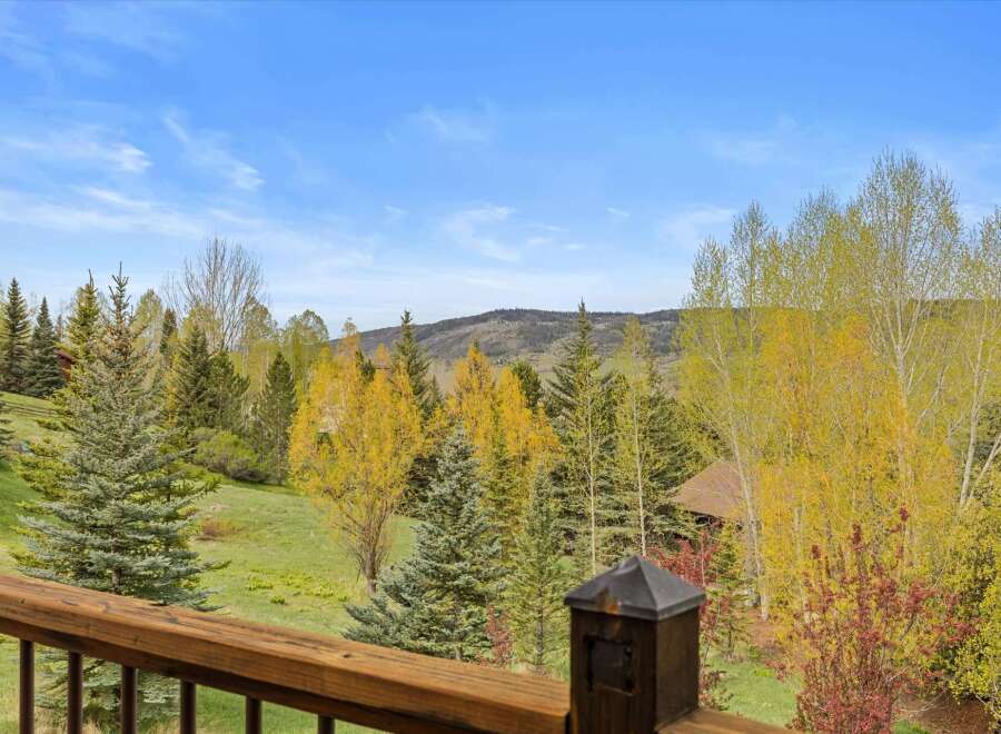 Enjoy breathtaking views from this stunning property! This home offers a serene escape with lush greenery and mountain vistas.