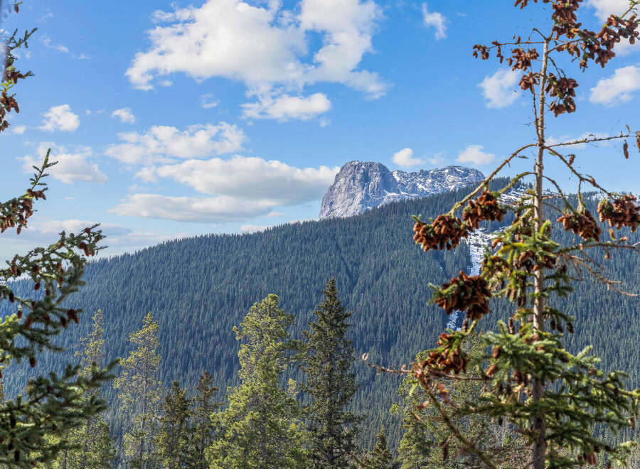Nestled amidst the majestic mountains, this property offers unparalleled views and a serene atmosphere.