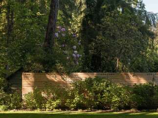 Discover the tranquility of this stunning property, featuring lush greenery and a beautifully crafted wooden fence.