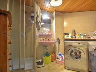 This charming bathroom features a unique design with a pink sink and a convenient shower.