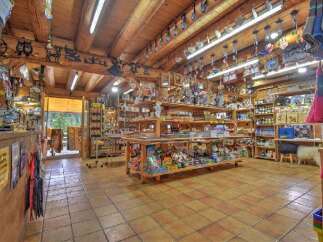 Step into a charming retail space with a rustic, inviting atmosphere.