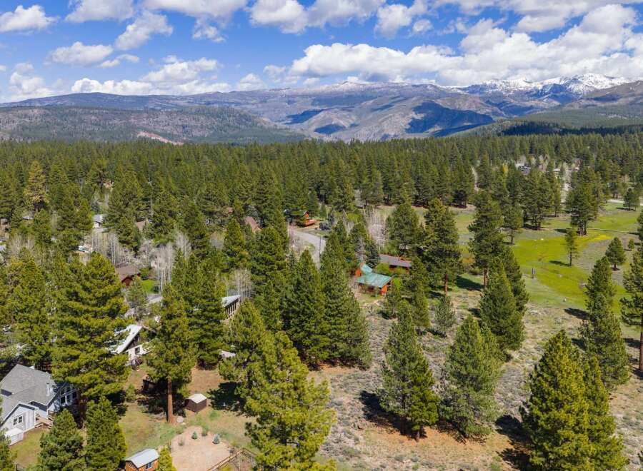 Discover your dream retreat nestled amidst the serene beauty of nature.