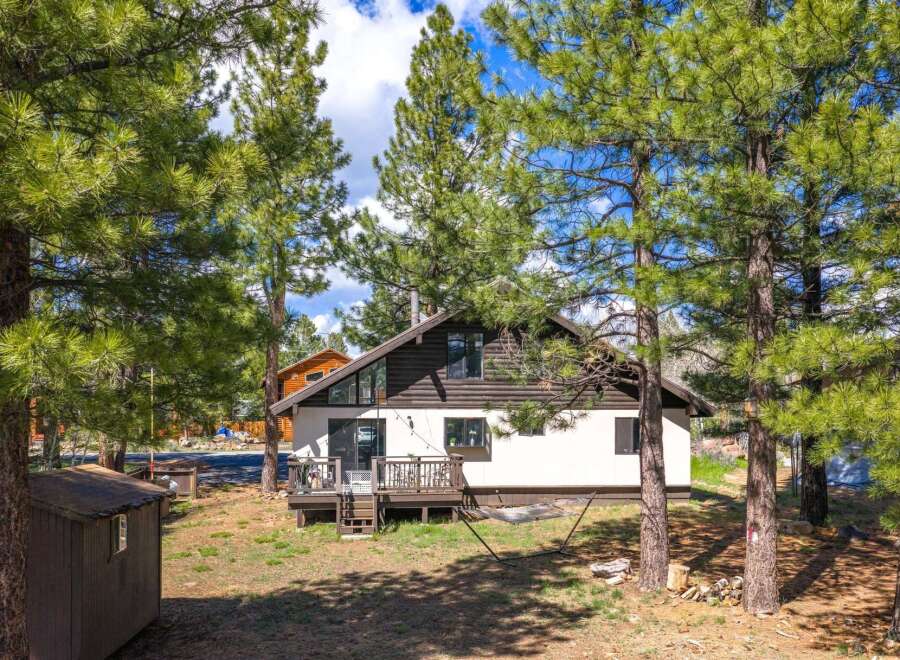 Nestled amongst towering pines, this charming cabin offers a serene escape.