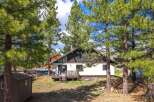 Nestled amongst towering pines, this charming cabin offers a serene escape.