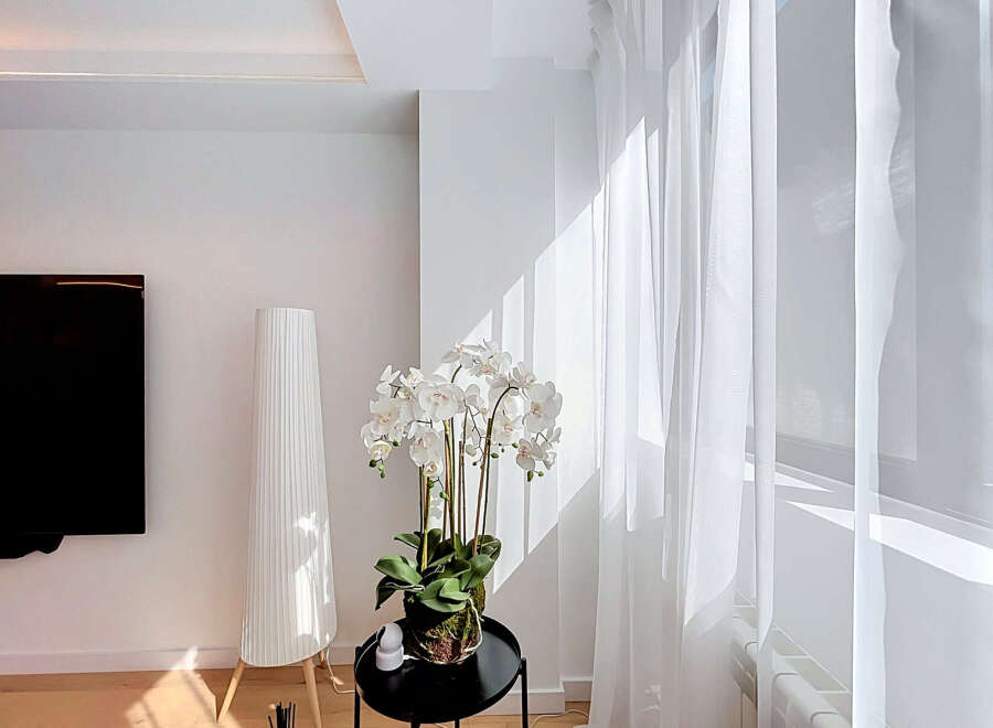 Bright and airy living space featuring sheer white curtains that allow natural light to flood the room.