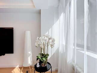 Bright and airy living space featuring sheer white curtains that allow natural light to flood the room.