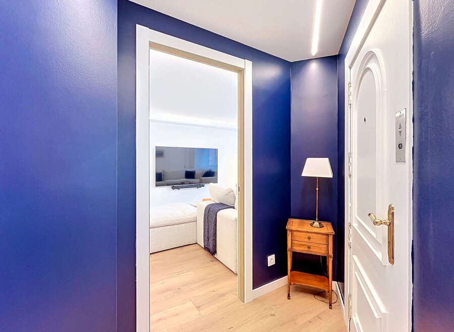 Step into this stylish apartment featuring a striking navy blue hallway that leads to a bright and modern living space.