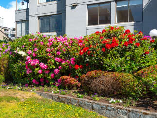 This stunning property boasts a vibrant garden filled with colorful rhododendrons, creating a welcoming and picturesque entrance.