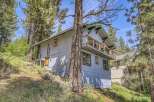 Nestled amidst towering trees, this charming property offers a serene escape.