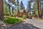 Nestled amidst towering trees, this charming cabin offers a serene escape.