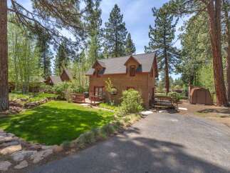 Nestled amidst towering trees, this charming cabin offers a serene escape.