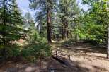 Discover your dream retreat nestled in nature's embrace! This property boasts a charming wooden bridge, leading to a serene outdoor space.