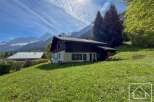 Discover your dream alpine retreat! This charming property boasts stunning mountain views and a serene, green landscape.