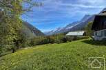 Discover your dream home in this stunning alpine setting! This property boasts breathtaking mountain views, a lush green meadow, and a charming chalet-style house.