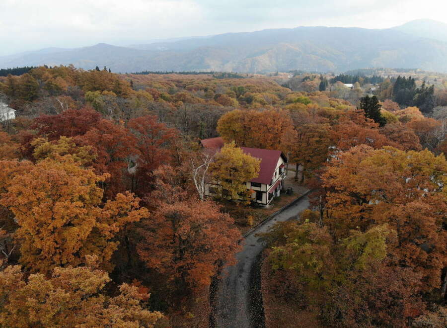 Nestled amidst a vibrant tapestry of autumn foliage, this charming property offers a serene escape.