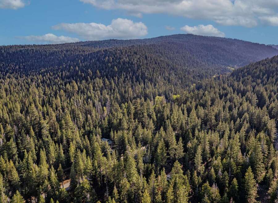 Explore the tranquility of this stunning forest property, perfect for nature enthusiasts and those seeking a peaceful retreat.