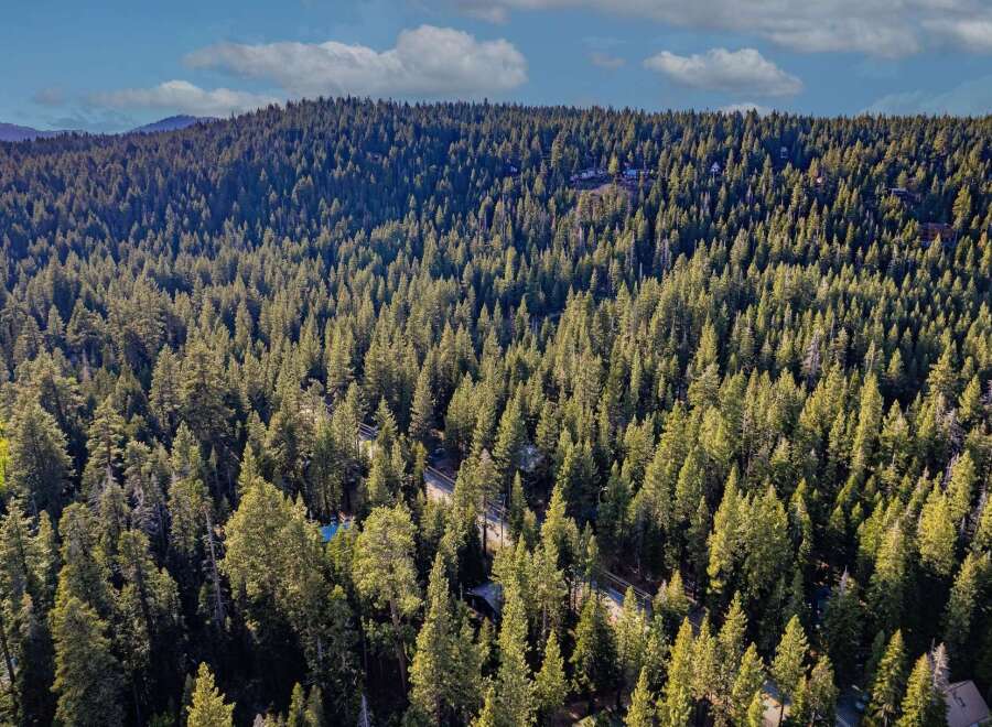 Discover a stunning property nestled in a lush, evergreen forest, offering unparalleled privacy and tranquility.