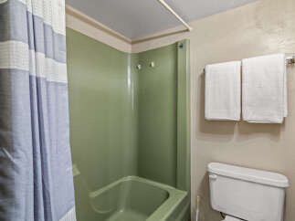 This bathroom features a unique green shower stall, offering a touch of vintage charm.