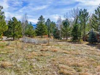 Discover the tranquility of this stunning property surrounded by lush greenery and mature trees.