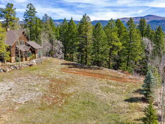 Nestled amidst lush greenery and towering trees, this stunning property offers a serene escape.