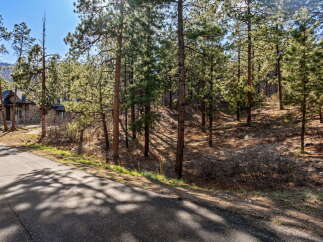 Discover your dream home nestled in a serene, wooded setting.