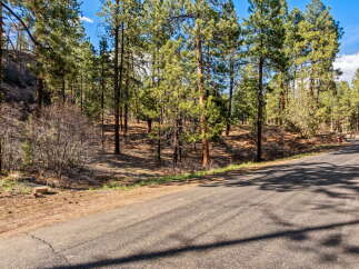 Discover the tranquility of this stunning property surrounded by lush greenery and towering trees.
