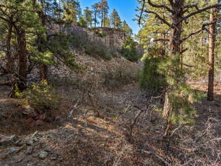 Explore the natural beauty of this stunning property, featuring a rugged landscape with mature trees and a rocky cliffside.