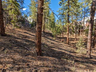 Nestled in a serene forest setting, this property offers a unique blend of natural beauty and privacy.