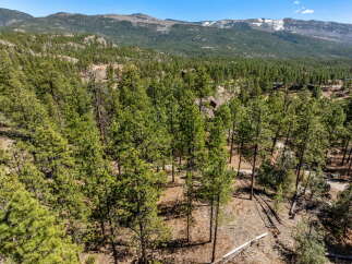 Discover your dream retreat nestled in the heart of nature! This stunning property boasts lush greenery and towering trees, offering unparalleled privacy and tranquility.