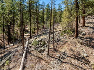 Discover the tranquility of this stunning property nestled in a lush forest setting.