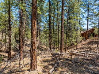Nestled in a serene forest setting, this property offers a unique blend of nature and comfort.