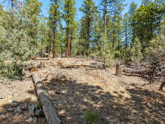 Explore the tranquility of this wooded property, perfect for those seeking a private retreat.