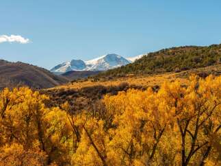 Discover the breathtaking beauty of this stunning property, nestled amidst a picturesque landscape.