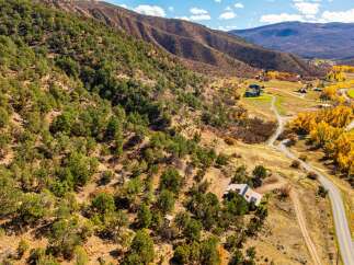 Discover your dream property nestled in the heart of nature.