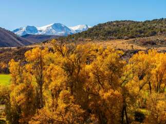 Discover the beauty of this stunning property, nestled in a picturesque landscape.