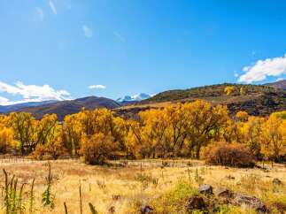 Discover the beauty of this stunning property surrounded by vibrant fall foliage.